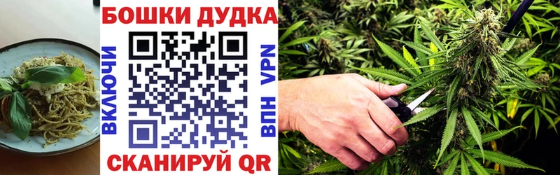 Canna-Cookies конопля где продают Губаха