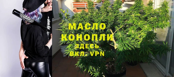 прущие грибы Приозерск