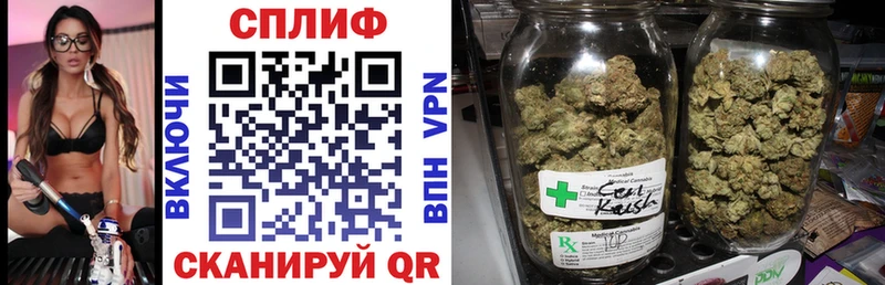 МАРИХУАНА индика  ссылка на мегу ССЫЛКА  Губаха  где продают наркотики 
